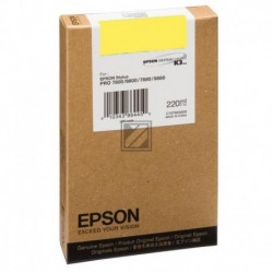 Original Epson Tintenpatrone Photo-Tinte Photo schwarz High-Capacity (C13T563100 C13T603100, T6031)